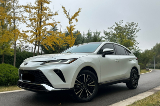 丰田 威飒 2023款 2.0L CVT两驱尊贵版