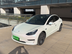 特斯拉 Model 3 2022款 后轮驱动版