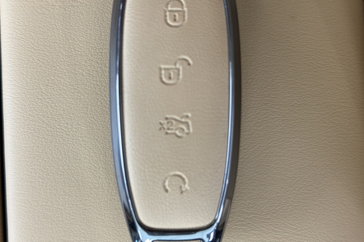 腾势D9 2022款 DM-i 970 四驱尊荣型中控内饰7002