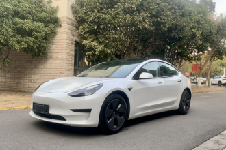 特斯拉 Model 3 2021款 改款 标准续航后驱升级版 3D1