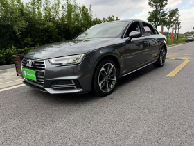 奥迪A4L 2019款 40 TFSI 进取型 国VI
