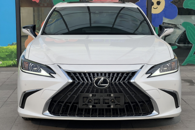 雷克萨斯ES 2022款 200 卓越版车身外观6001