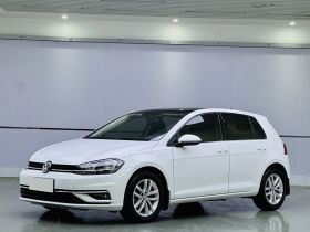 大众 高尔夫 2019款 1.6L 自动舒适型 国V