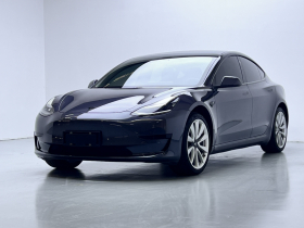 特斯拉 Model 3 2019款 标准续航后驱升级版