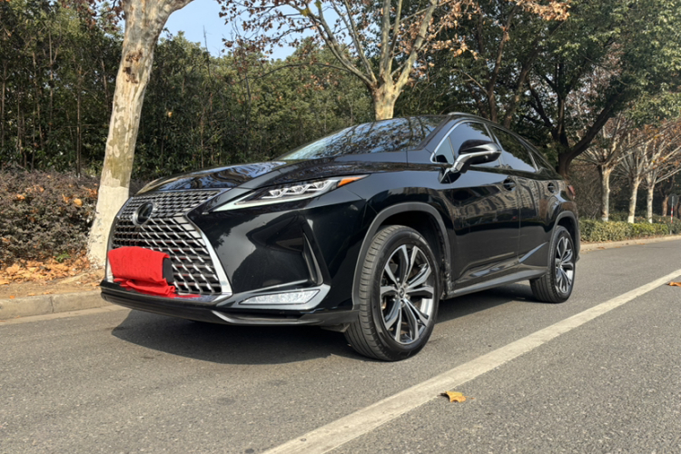 雷克萨斯RX 2021款 300 四驱特别版车身外观6003