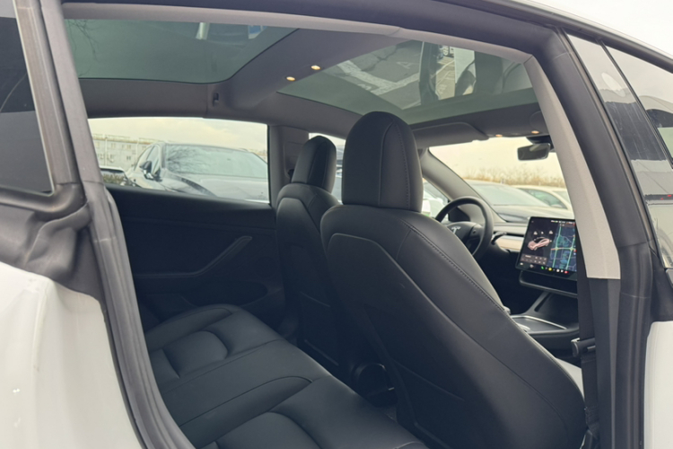 特斯拉 Model 3 2021款 标准续航后驱升级版 3D6中控内饰7005