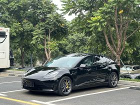 特斯拉 Model 3 2022款 后轮驱动版