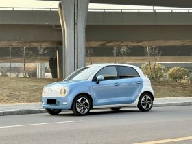 欧拉黑猫 2022款 351km 舒适型 三元锂