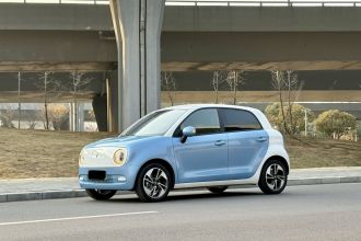 欧拉黑猫 2022款 351km 舒适型 三元锂