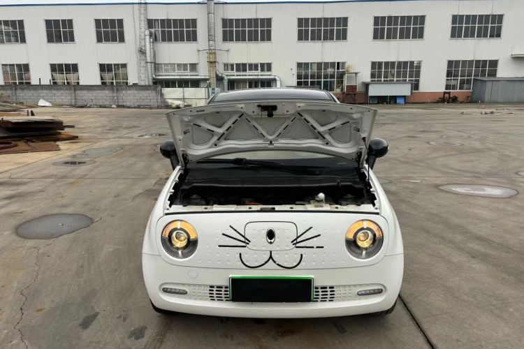 欧拉黑猫 2021款 351km 标准型局部细节24