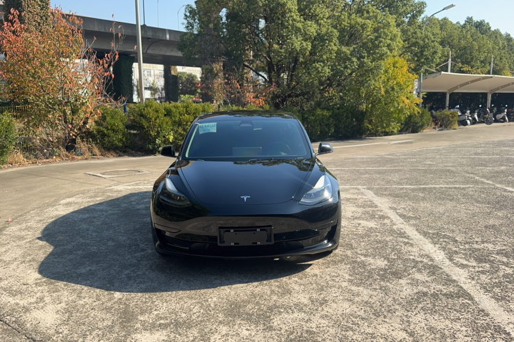 特斯拉 Model 3 2021款 标准续航后驱升级版 3D6车身外观6001