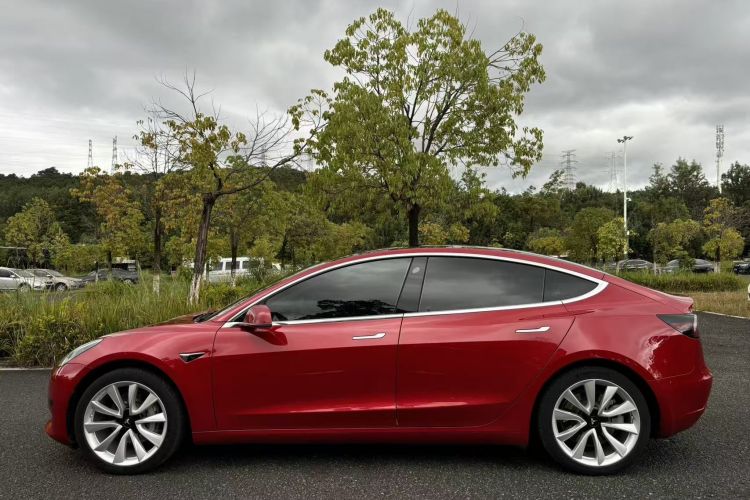 特斯拉 Model 3 2019款 标准续航后驱升级版车身外观6012
