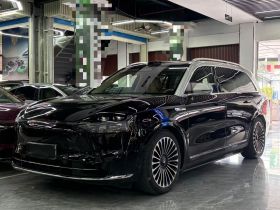 鸿蒙智行 问界M9 2024款 增程 Ultra版 52kWh 5座版