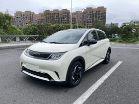 比亚迪 海豚 2021款 405km 时尚版