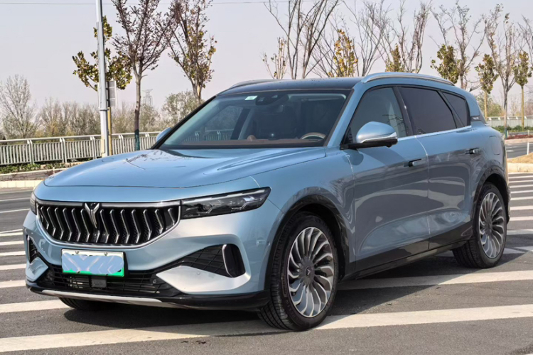 岚图汽车 岚图FREE 2023款 四驱超长续航增程版车身外观6005