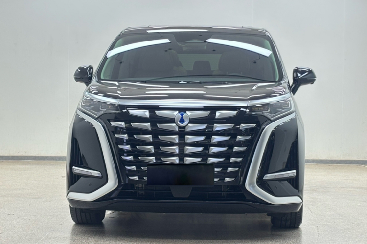 腾势D9 2024款 DM-i 980 四驱尊荣型车身外观6005