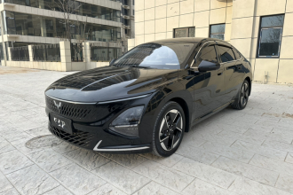 五菱汽车 五菱星光 2024款 共创版 150 领航型