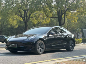 特斯拉 Model 3 2022款 后轮驱动版