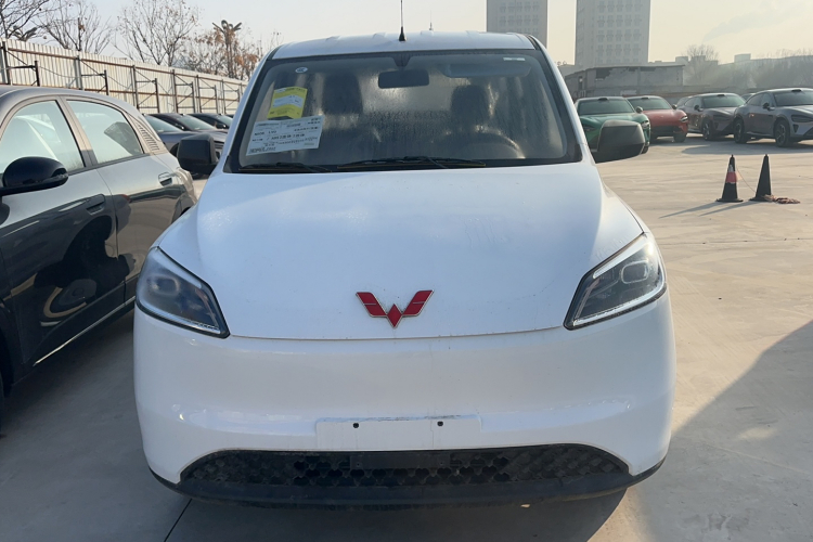 五菱汽车 五菱宏光新能源 2024款 纯电版 300KM 标准型车身外观6001