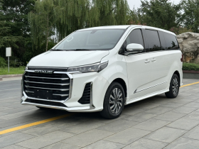 上汽大通MAXUS 大通G20 2021款 PLUS 2.0T 汽油自动尊享版