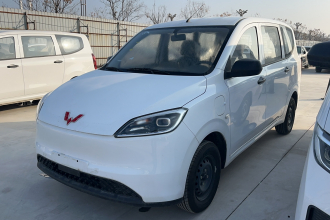 五菱汽车 五菱宏光新能源 2024款 纯电版 300KM 标准型