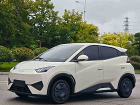 比亚迪 海鸥 2025款 智驾版 305km 活力版