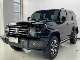 坦克300 2023款 城市版 2.0T 很有型