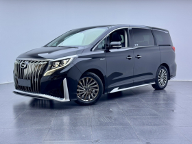 广汽传祺 传祺M8 2021款 大师系列 390T 至尊版