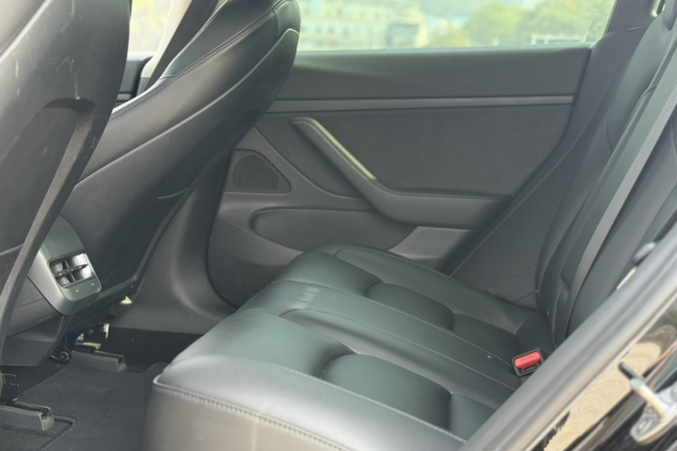 特斯拉 Model 3 2020款 改款 长续航后轮驱动版中控内饰7001