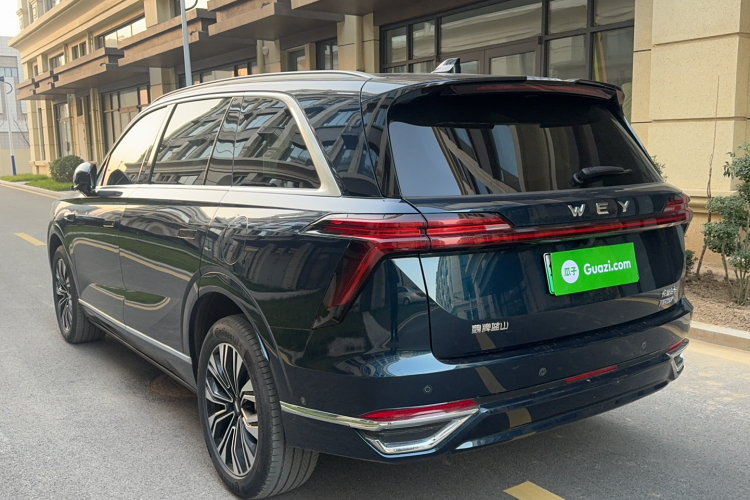 魏牌 蓝山 2023款 四驱超长续航版车身外观6005