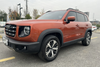 哈弗大狗 2021款 1.5T DCT两驱拉布拉多版