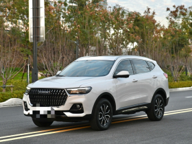 哈弗H6 2023款 国潮版 1.5T 自动都市版