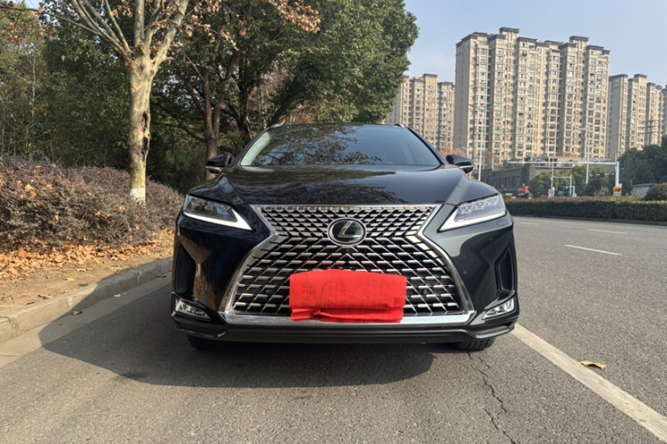 雷克萨斯RX 2021款 300 四驱特别版车身外观6001