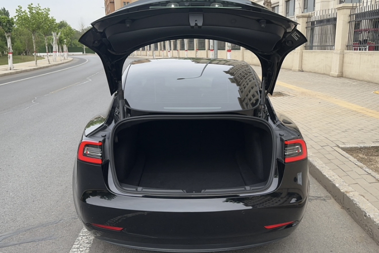 特斯拉 Model 3 2021款 Performance高性能全轮驱动版车身外观6005