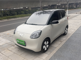 五菱汽车 宏光MINIEV 2025款 四门版 进阶款