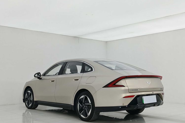 五菱汽车 五菱星光 2024款 共创版 510 进阶型车身外观6005