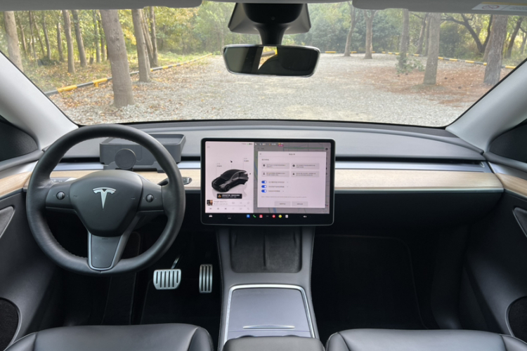 特斯拉 Model Y 2021款 Performance高性能全轮驱动版中控内饰7004