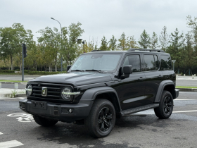 坦克300 2023款 越野版 2.0T 挑战者