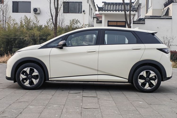 比亚迪 海豚 2025款 420km 自由版车身外观6007