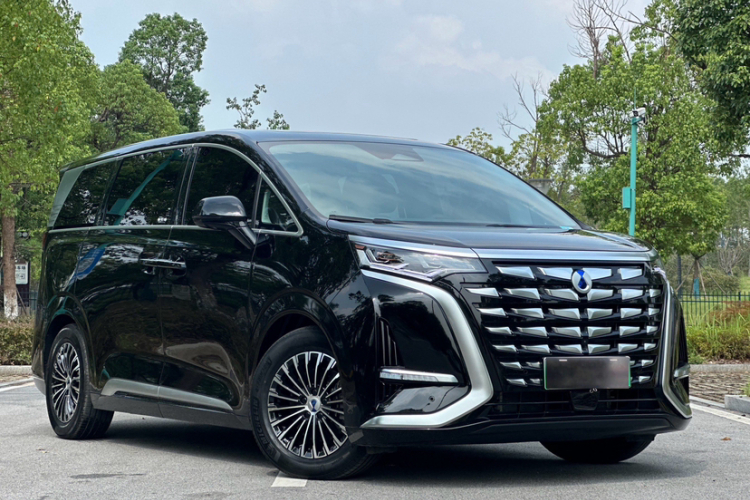 腾势D9 2024款 DM-i 980 四驱尊荣型车身外观6004