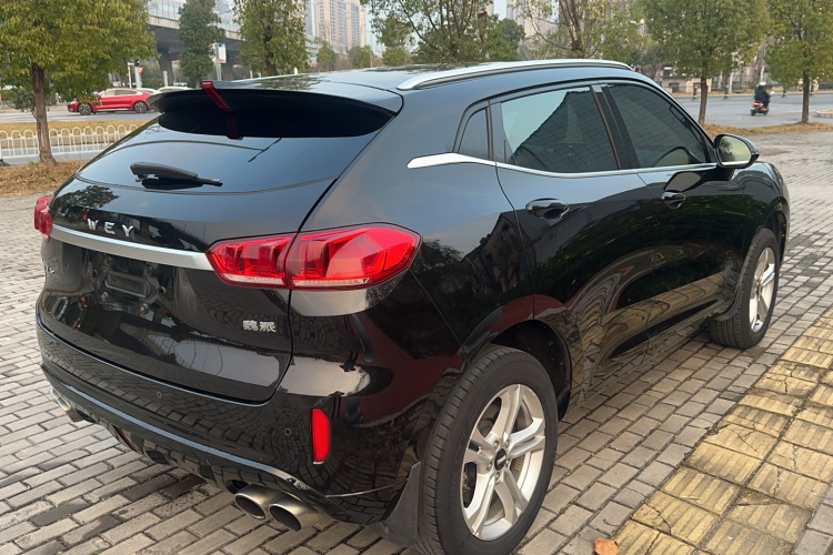 魏牌 VV5 2019款 1.5T 两驱颜先锋车身外观6006