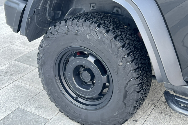 坦克300 2023款 2.0T 铁骑02车身外观6008