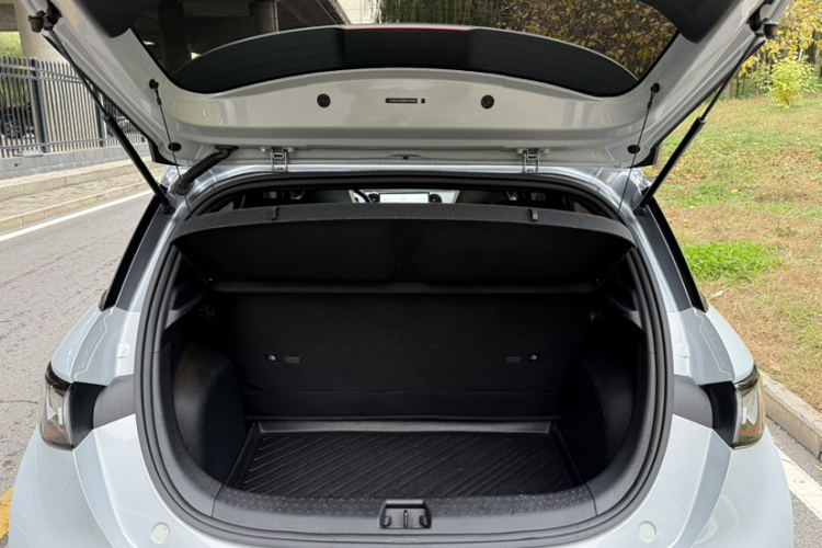 比亚迪 海豚 2021款 401km 骑士版中控内饰7009