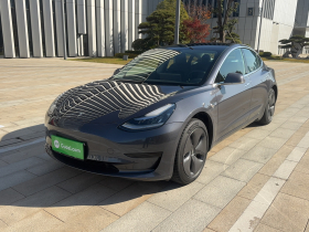 特斯拉 Model 3 2019款 标准续航后驱升级版