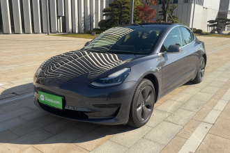 特斯拉 Model 3 2019款 标准续航后驱升级版