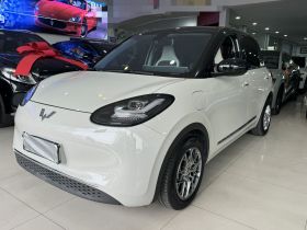 五菱汽车 五菱缤果 2023款 333km 灵犀互联+款