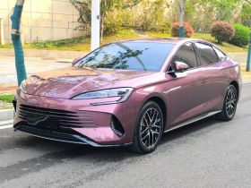 比亚迪 海豹 2023款 DM-i 1.5L 121km 豪华型