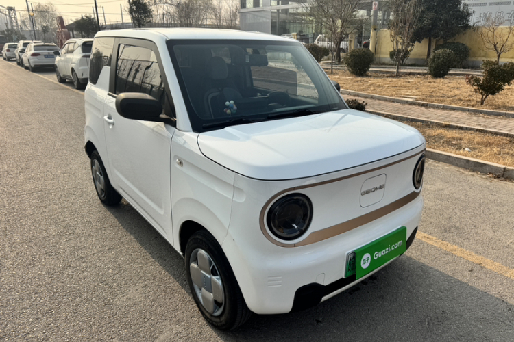 吉利银河 2023款 熊猫mini 200km 耐力熊车身外观6002