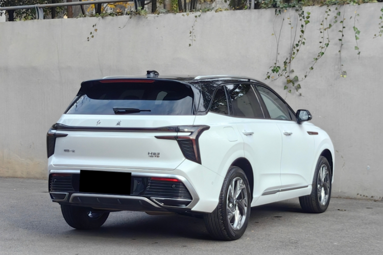 红旗HS3 2023款 2.0T 四驱有为版车身外观6001