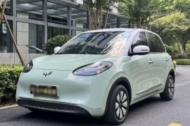 五菱汽车 五菱缤果 2023款 410km 灵犀尊享款